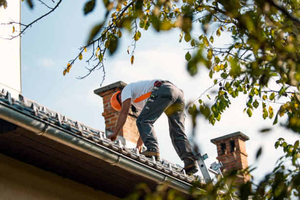 Best Gutter Installation and Roofing  in Russellville, KY