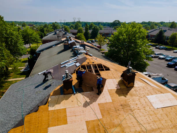 Best Flat Roof Repair Services  in Russellville, KY