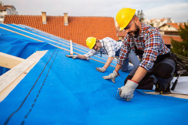 Best Metal Roofing Contractor  in Russellville, KY