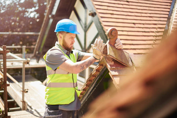 Best Roof Gutter Cleaning  in Russellville, KY